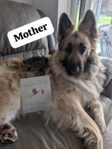 German Shepherd Puppies